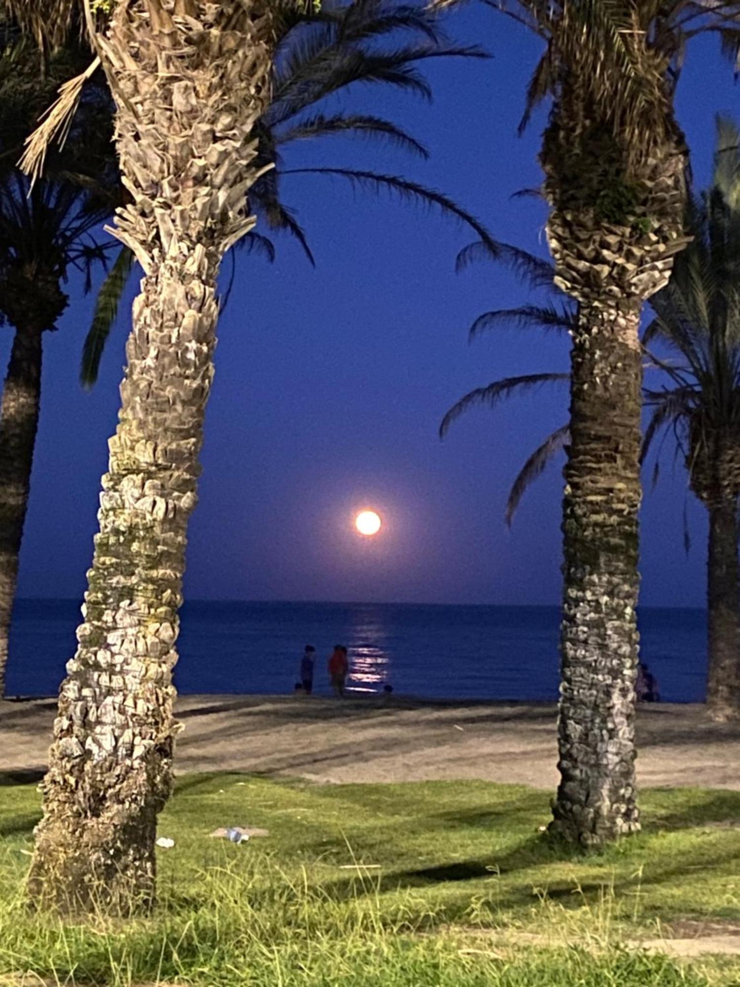 Apartamento Jema El Bajondillo Torremolinos Dış mekan fotoğraf